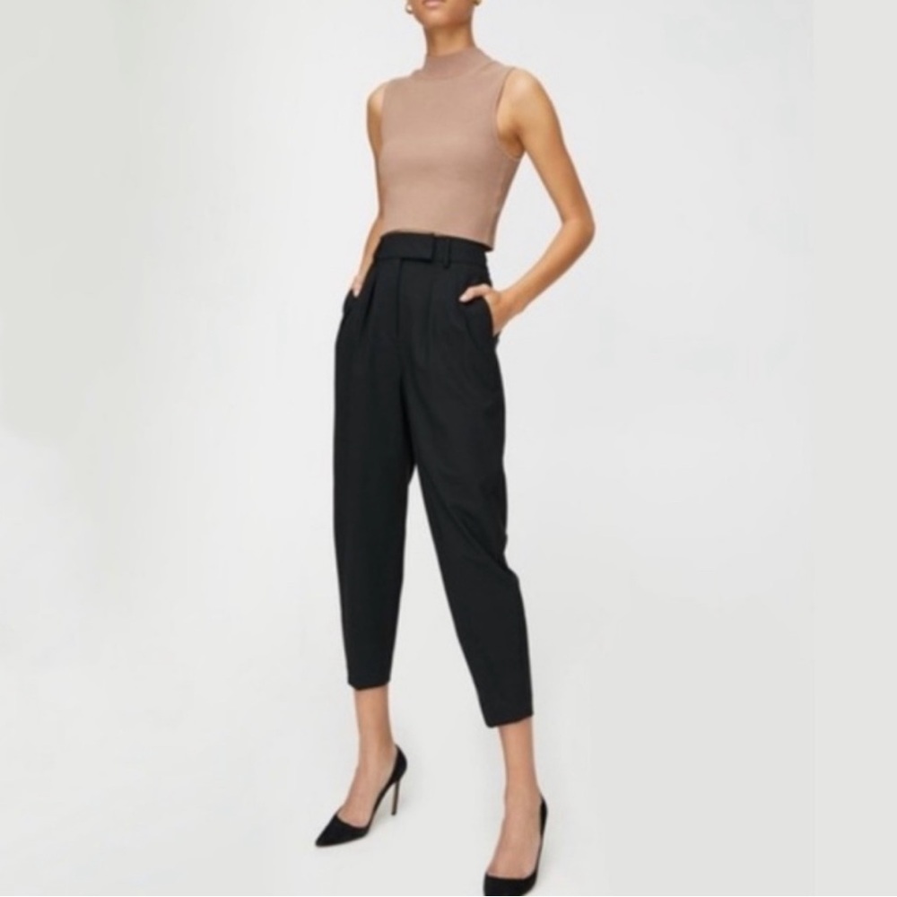 Aritzia Babaton Atelier pant Trousers 2